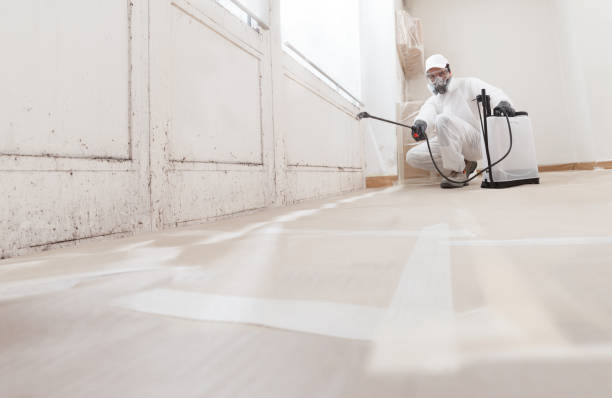 24/7 Emergency Mold Remediation experts in Jefferson, OR